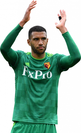 Étienne Capoue