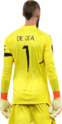 David de Gea football render