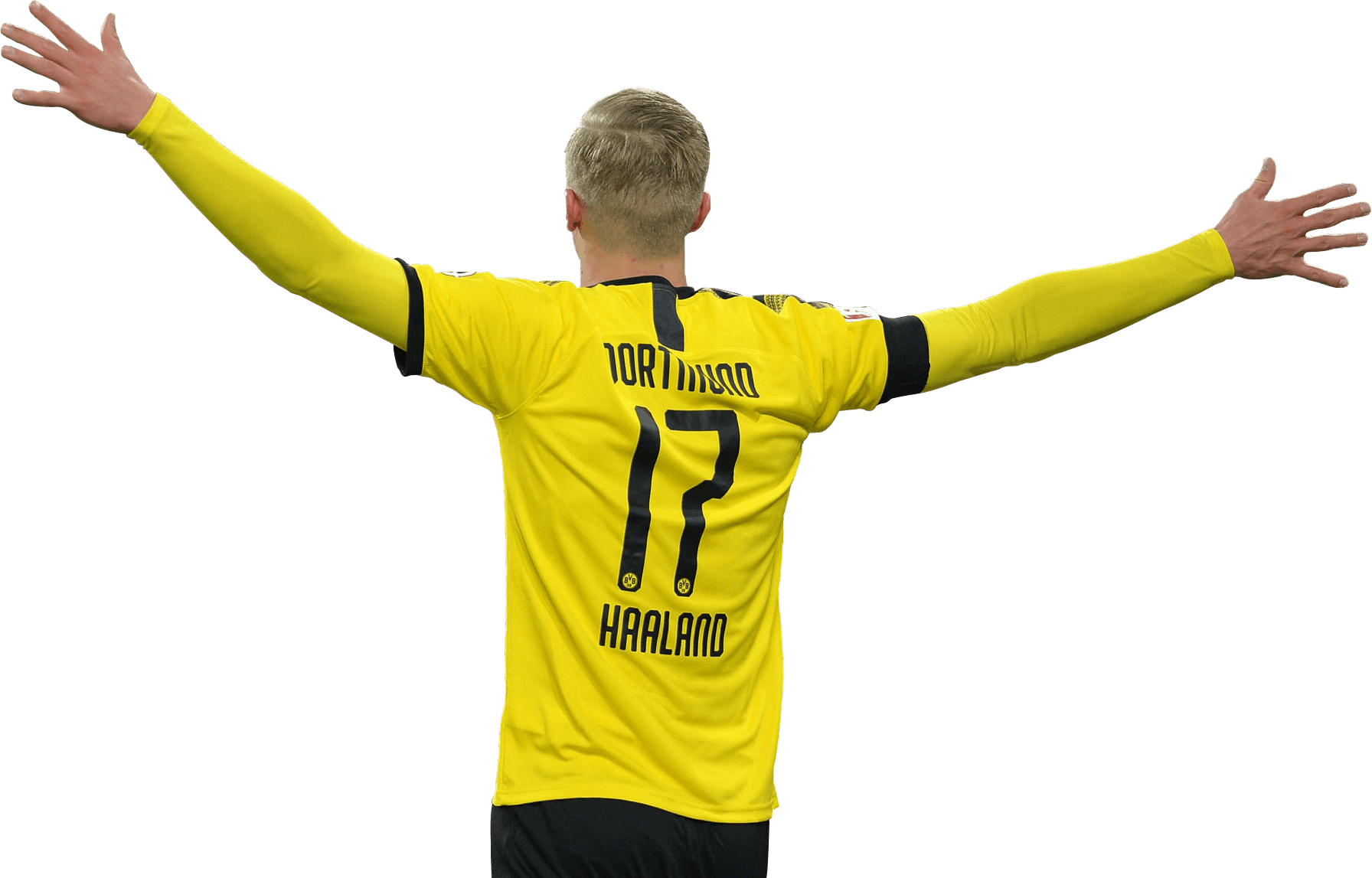 Erling Braut Håland football render - 65199 - FootyRenders