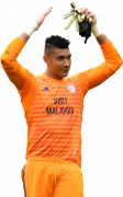 Neil Etheridge football render