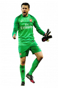 Lukasz Fabianski football render