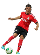 Ljubomir Fejsa football render