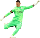 Fernando Muslera football render