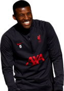 Georginio Wijnaldum football render