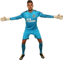 Karl Darlow football render