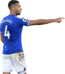 Mason Holgate football render