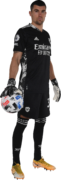 Mathew Ryan football render