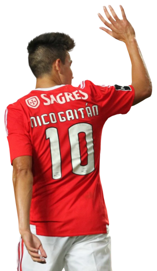 Nicolas Gaitan