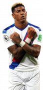 Patrick van Aanholt football render