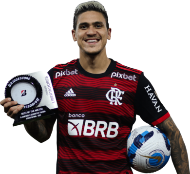 Pedro Guilherme