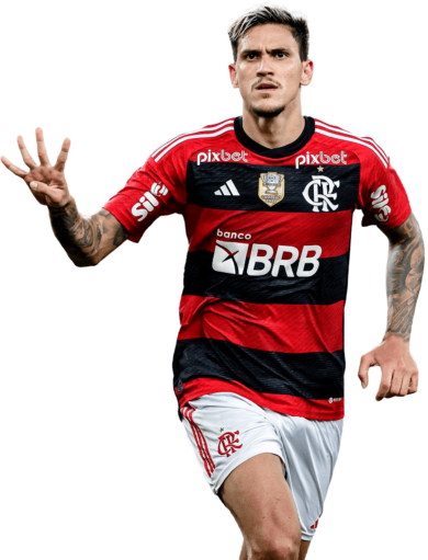 Pedro Guilherme