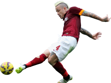 Radja Nainggolan