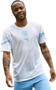 Raheem Sterling football render