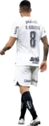 Renato Augusto football render