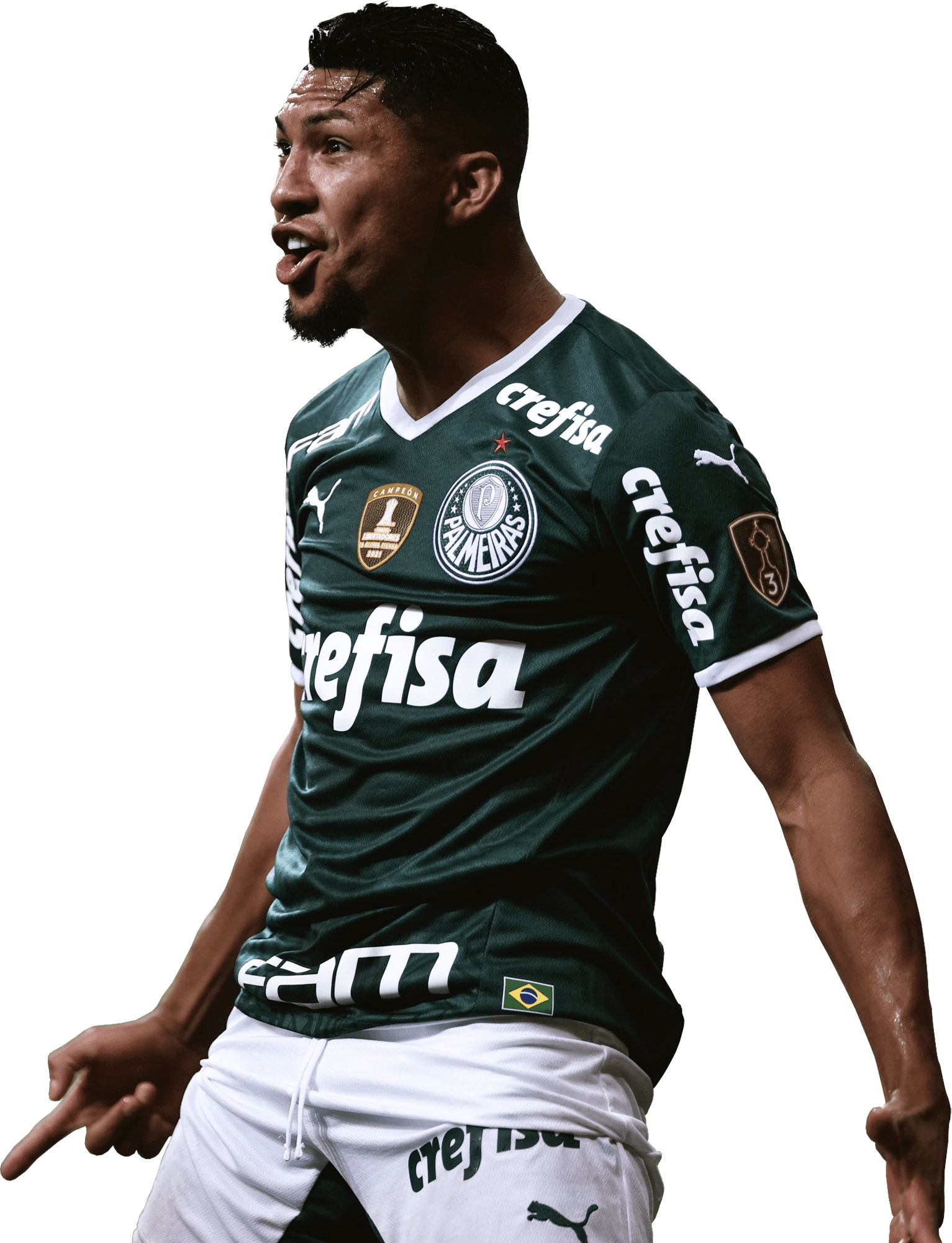 Rony palmeiras hi-res stock photography and images - Page 5 - Alamy