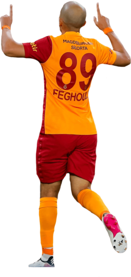 Sofiane Feghouli