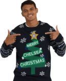 Thiago Silva football render