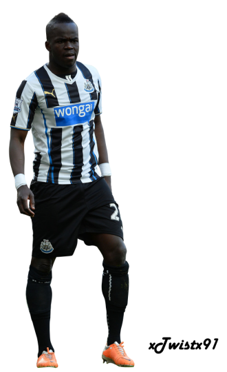 Cheick Tiote