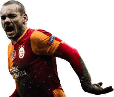 Wesley Sneijder