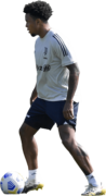 Weston McKennie football render