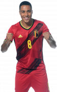 Youri Tielemans football render